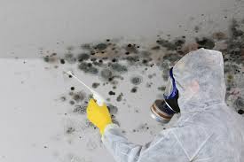 Best Forensic Mold Investigation  in Hudson, IL